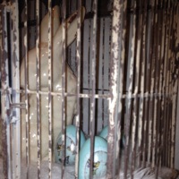  Osterhase im Federbett