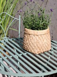  Garnitur Toulon - Set 2 Stühle und 1 Tisch