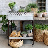  MOBILER Pflanzkasten Petite Jardiniere