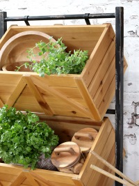  COTTAGE HOUSE Regal Marry