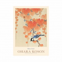  OHARA KOSON PLAKATBlue Bird 30 x 40 cm