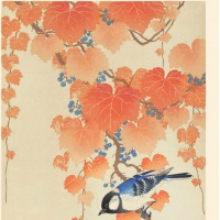  OHARA KOSON PLAKAT Blue Bird 50 x 70 cm