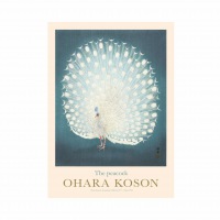  OHARA KOSON PLAKAT Pfau 30 x 40 cmcm