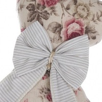  Kätzchen Miss Rosie