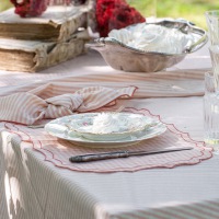  TISCHEST PFLEGELEICHT Firenze Vichy Rosa Corallo