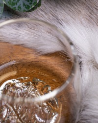  TOPOGRAPHIC Glas Mont Blanc