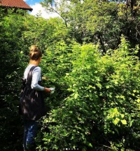  Schürze Bellissima dunkel grau/blau