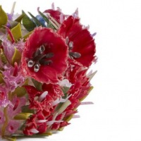  KUNST und ÄSTHETIK Blooming Meadow No1