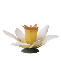  Narzisse Blüte Kerzenleuchter Ambiance Florale