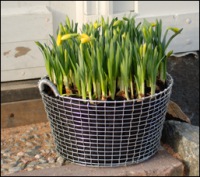  Eisenflechtkorb Classic 35