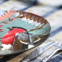  Melaminteller Mr. Jones