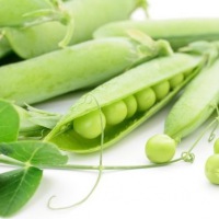  Brosche Botanica - Pea Pod
