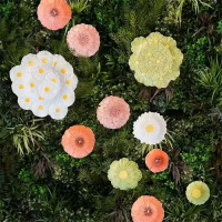  Kleine Schüssel Daisy