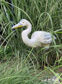  REIHER PÄRCHEN Zwei im Glück 