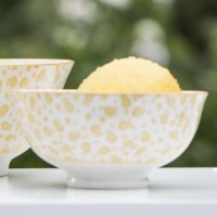  Kleine Schale Ida gelb