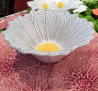  Kleine Schüssel Daisy