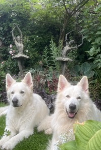  Tanz der Primaballerinas, 2-er Set Eisenfiguren