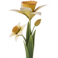  Narzisse Kerzenleuchter Ambiance Florale