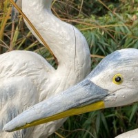  REIHER PÄRCHEN Zwei im Glück 