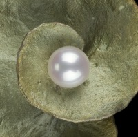  Brosche Botanica - Geranium