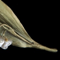  Brosche Botanica - Majalis