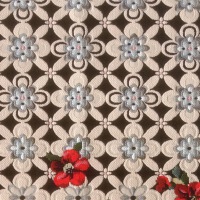  Second Opinion 70 x 140 cm