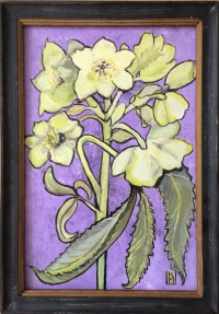  Bild Frühlingsbote Anemone