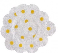  Platte Daisy