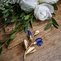  Brosche Baptista australis