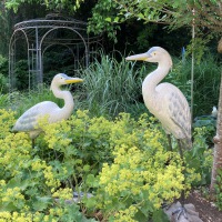  REIHER PÄRCHEN Zwei im Glück 