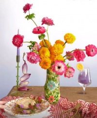  Dolomiti Serviette Vichy Karo rot