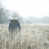  Art und Craft French Pottery m