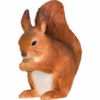  Eichhörnchen Squirrel