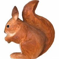  Eichhörnchen Squirrel