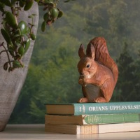  Eichhörnchen Squirrel