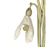  BROSCHE BOTANICA Schneeglöckchen