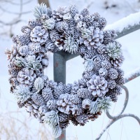  Kranz Winterwald