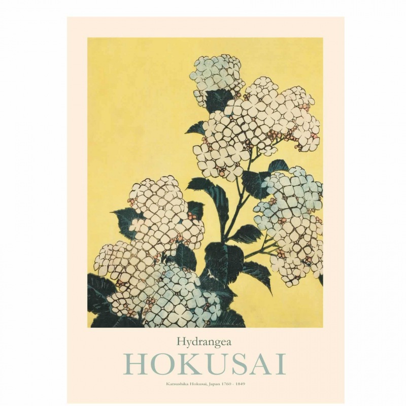  OHARA KOSON PLAKAT Hydrangea 50 x 70 cm
