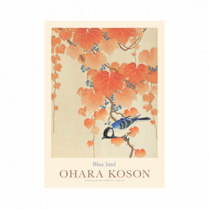  OHARA KOSON PLAKATBlue Bird 30 x 40 cm