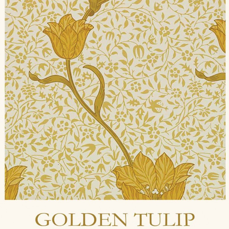  WILLIAM MORRIS PLAKAT Golden Tulip 30 x 40 cm cm