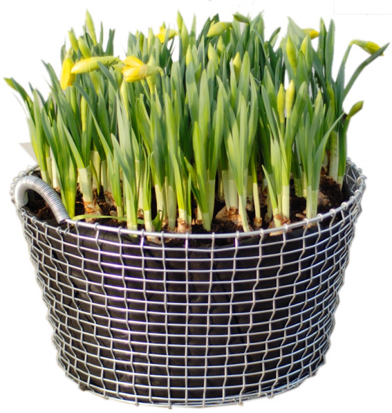  Eisenflechtkorb Classic 35