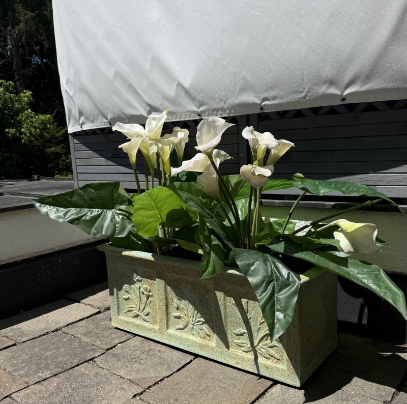  Pflanzgefäß Botanik II