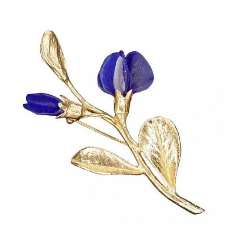  Brosche Baptista australis