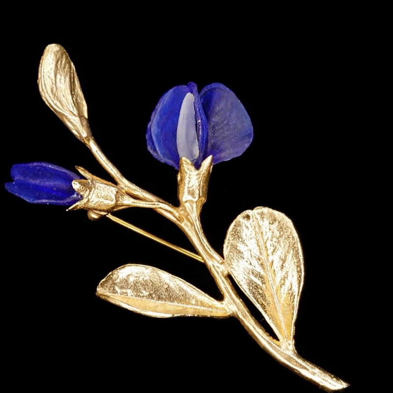  Brosche Baptista australis