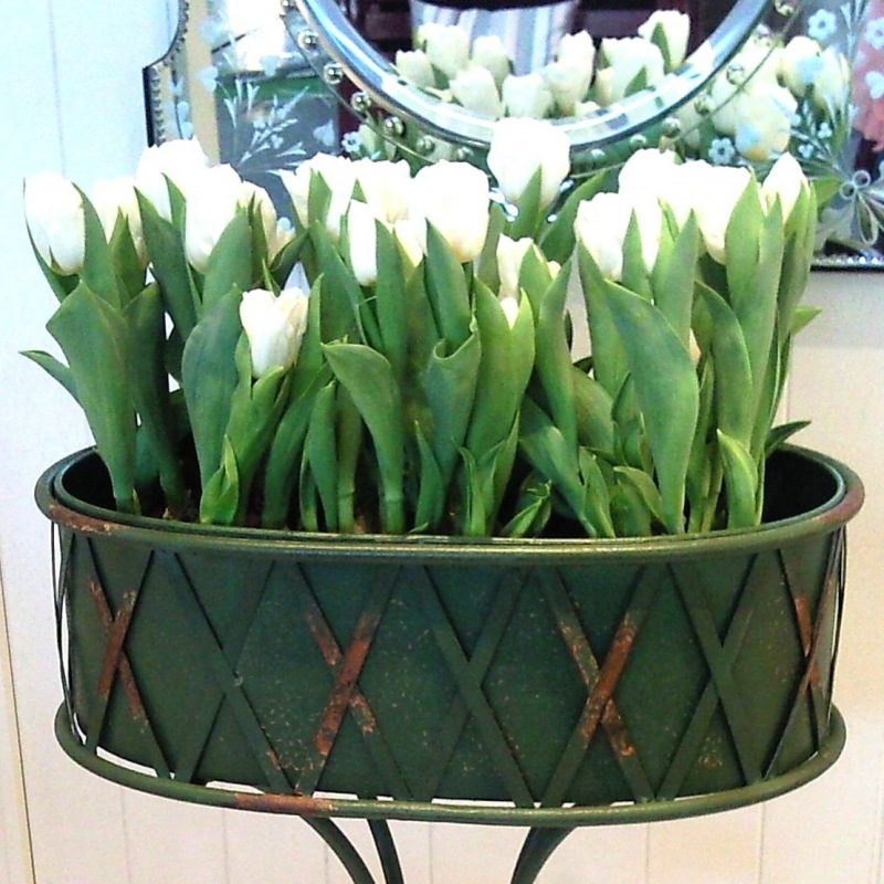  Jardinière Verteuse