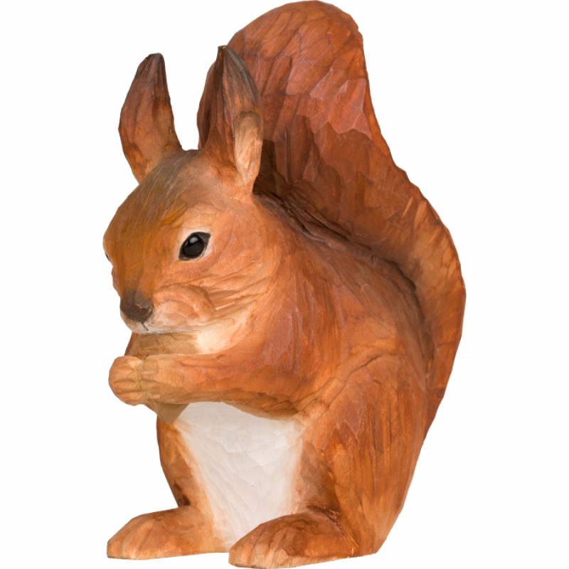  Eichhörnchen Squirrel