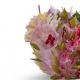  KUNST und ÄSTHETIK Blooming Meadow No1