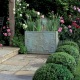  Brunnen Caballus