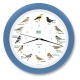  WANDUHR Zwitschern und Singen mit Namen