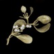  Brosche Botanica - Mistletoe